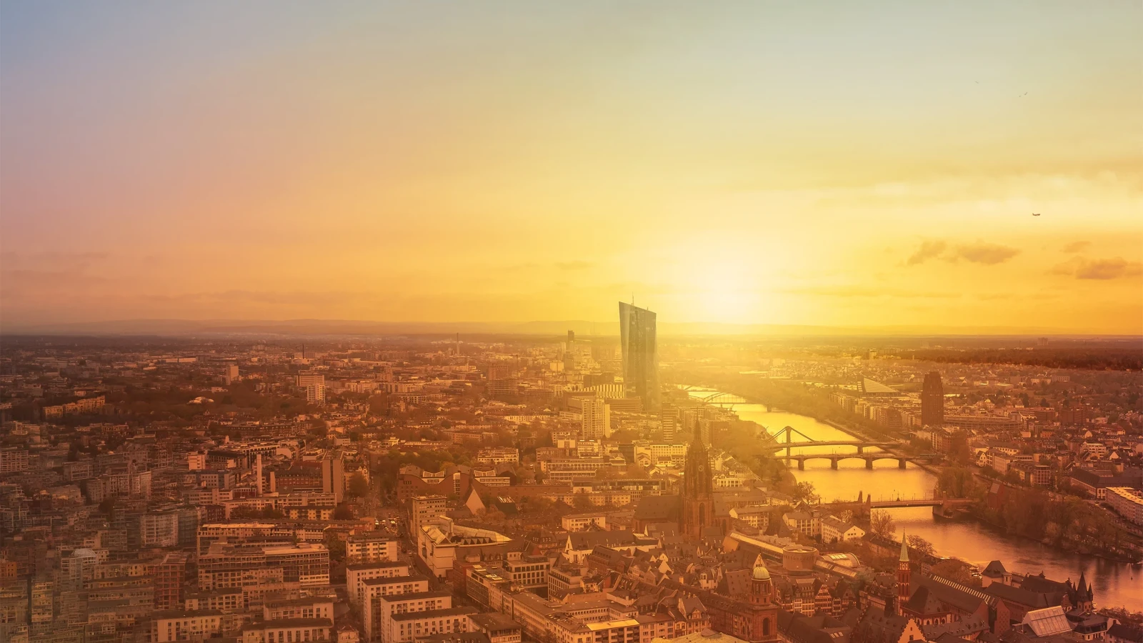 trenner_oben_hinten.webp